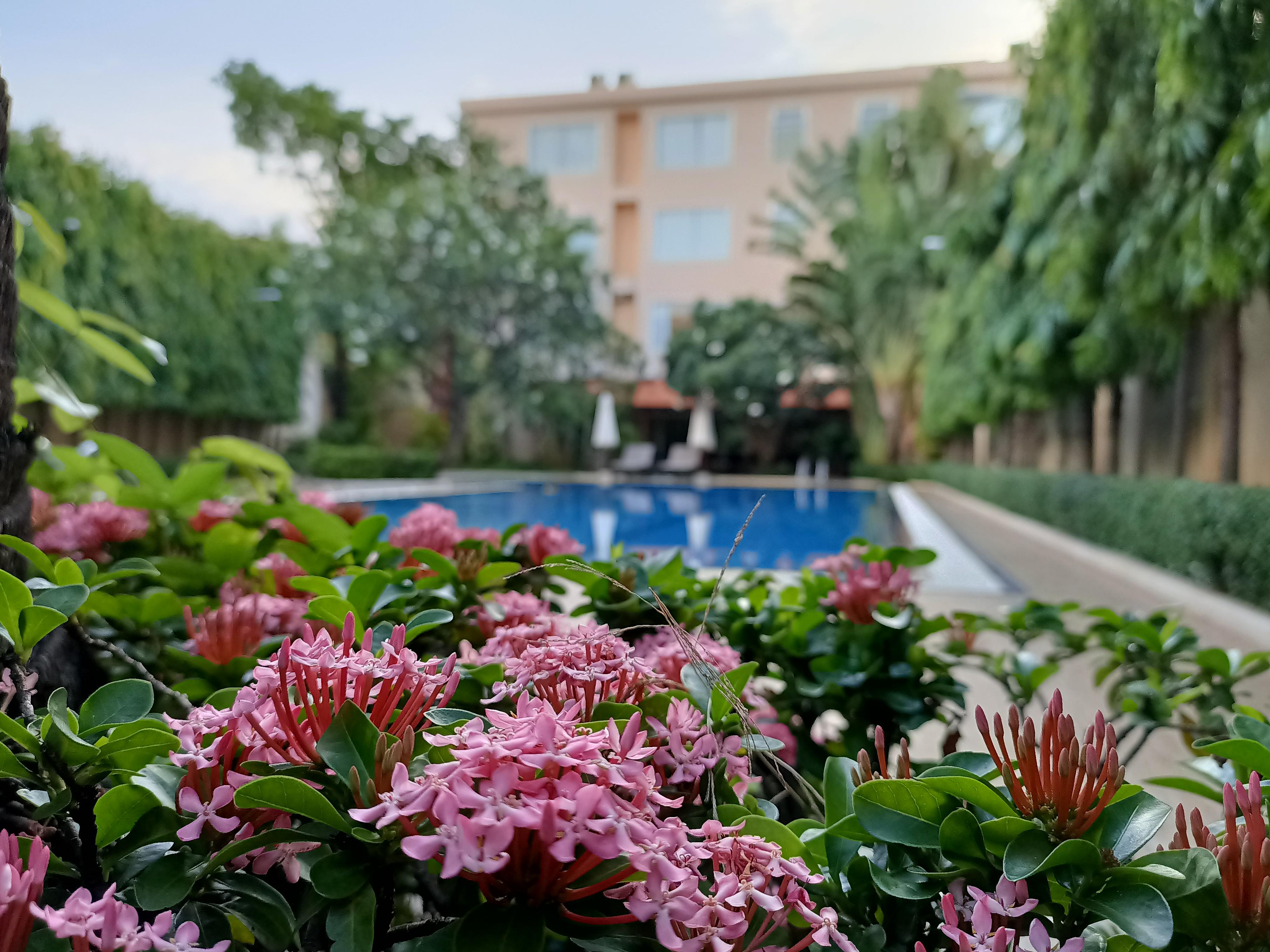 Starry Angkor Hotel Siem Reap Zewnętrze zdjęcie