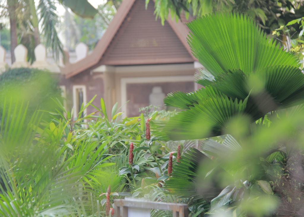 Starry Angkor Hotel Siem Reap Zewnętrze zdjęcie