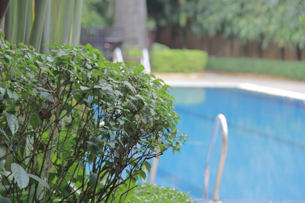 Starry Angkor Hotel Siem Reap Zewnętrze zdjęcie